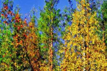 Autumn impressionism