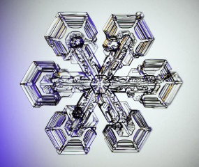 Inside structures of sectored plate type of ice crystal