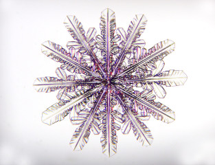 Rare 12 armed snow crystal