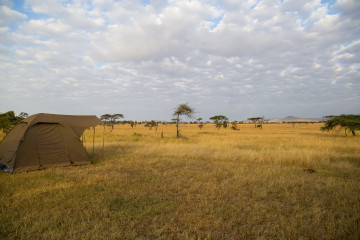 Camping at Serengeti