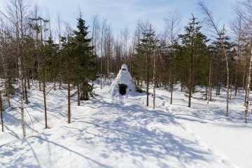 Little hut at forest
