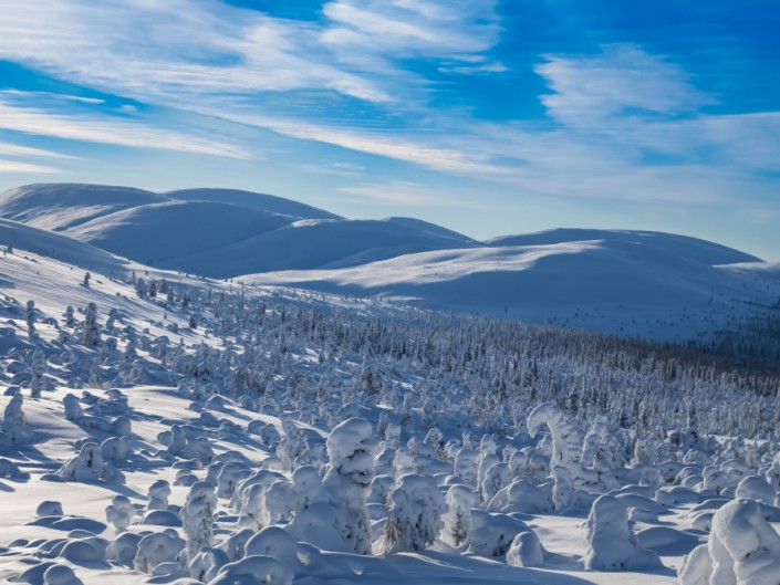 Kalevi Asikainen