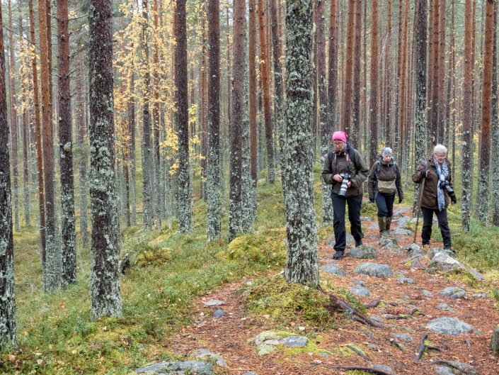 Tiilikkajärvi 2016