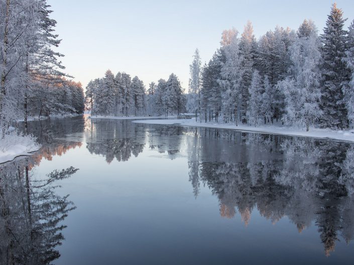 Kuukauden luontokuvat 2017