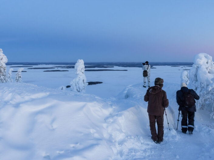 Koli 2024