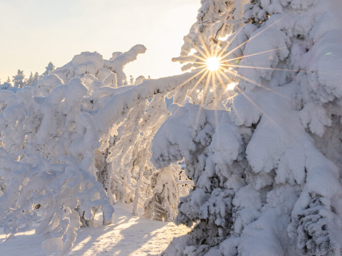 Kuusamo 2025